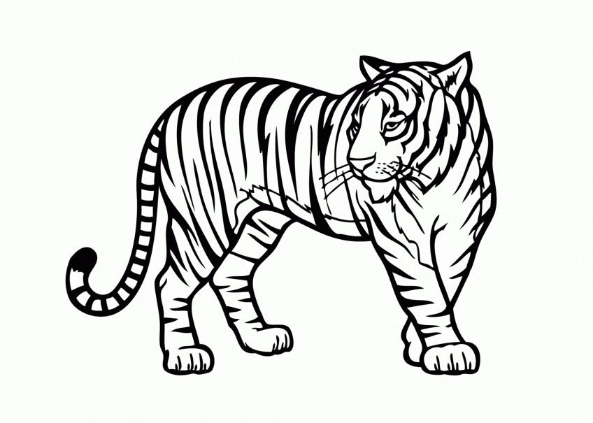 45 tranh tô màu con hổ dễ thương ngộ nghĩnh cho bé 2 - 45+ tranh tô màu con hổ dễ thương ngộ nghĩnh cho bé