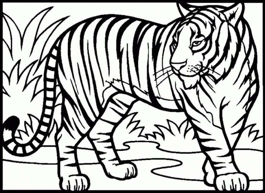 45 tranh tô màu con hổ dễ thương ngộ nghĩnh cho bé 2 - 45+ tranh tô màu con hổ dễ thương ngộ nghĩnh cho bé