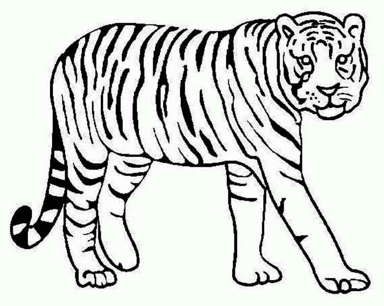 45 tranh tô màu con hổ dễ thương ngộ nghĩnh cho bé 7 - 45+ tranh tô màu con hổ dễ thương ngộ nghĩnh cho bé