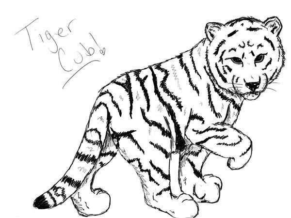 45 tranh tô màu con hổ dễ thương ngộ nghĩnh cho bé 9 - 45+ tranh tô màu con hổ dễ thương ngộ nghĩnh cho bé