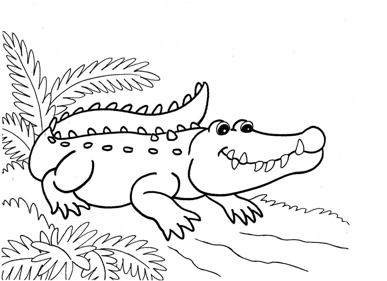 50 tranh to mau to cho be tap to 11 - 50+ tranh tô màu con cá sấu cho bé tập tô màu