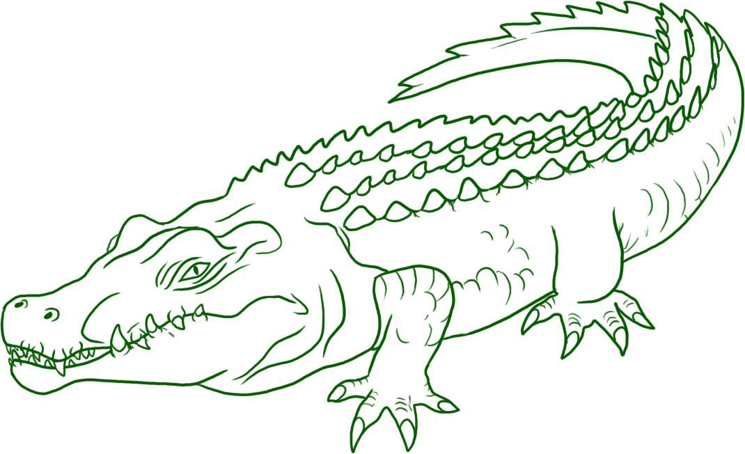 50 tranh to mau to cho be tap to 13 - 50+ tranh tô màu con cá sấu cho bé tập tô màu