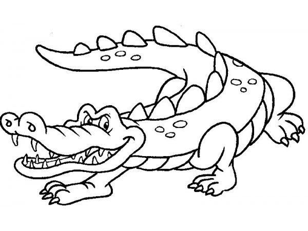50 tranh to mau to cho be tap to 20 - 50+ tranh tô màu con cá sấu cho bé tập tô màu