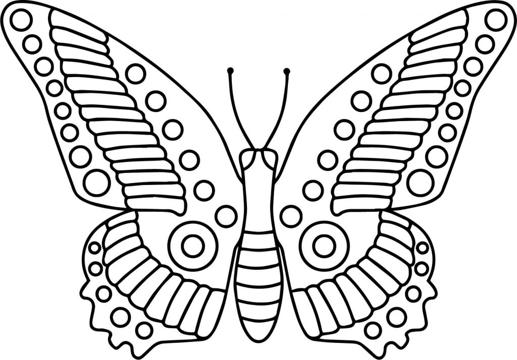 Tổng hợp 53 về tô màu con bướm đẹp  trieuson5