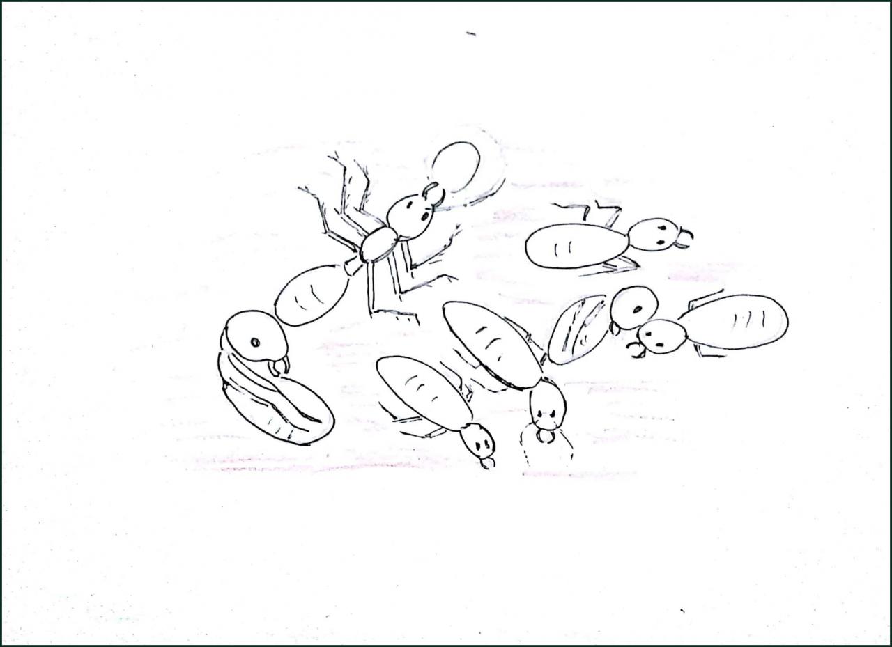 50 tranh tô màu con kiến ​​to và nhanh cho bé 10 - 50+ tranh tô màu con kiến ​​chăm chỉ cho bé