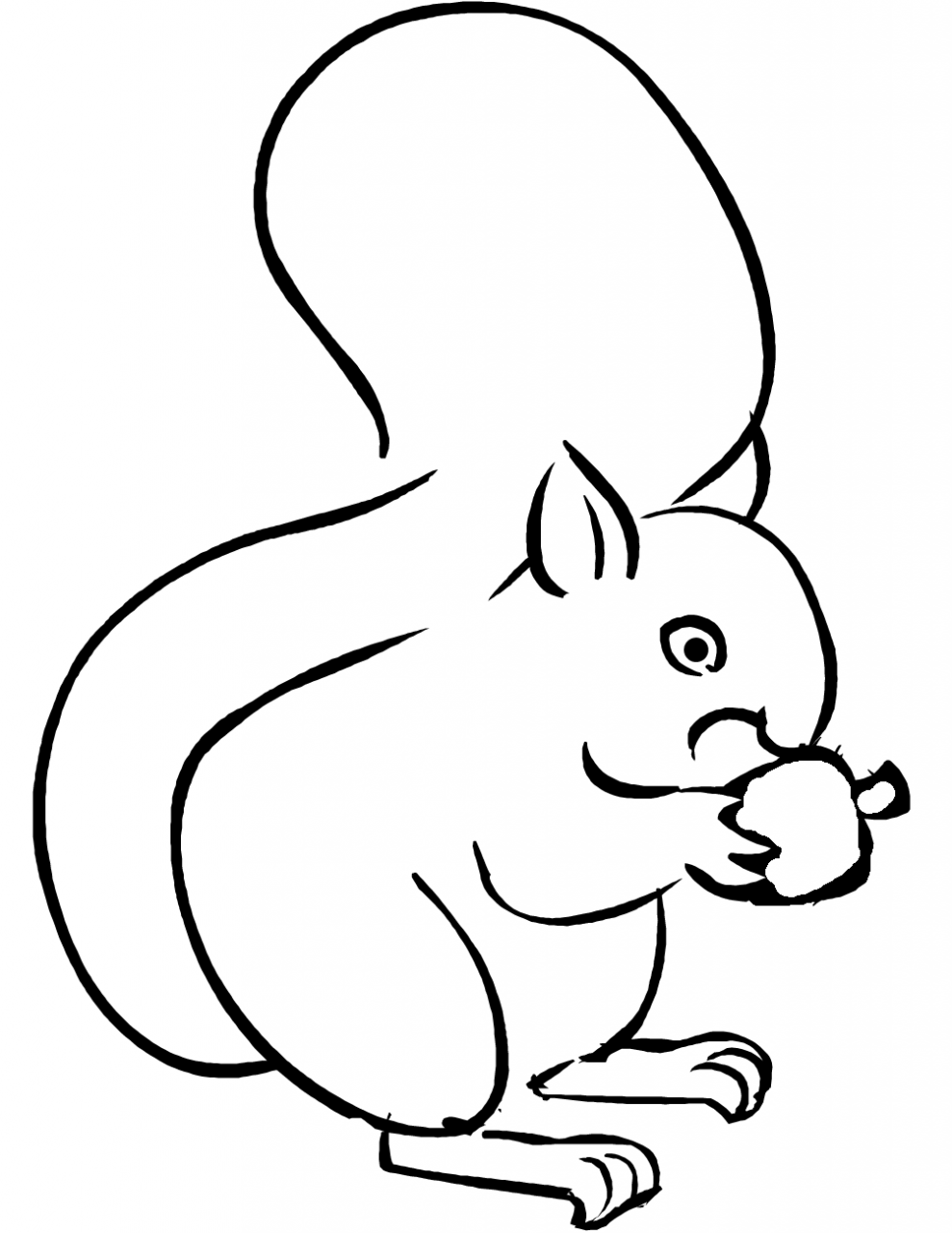 50 pictures of the most beautiful squirrels for children to tap to 1 - 50+ best coloring pictures of squirrels for children to practice coloring