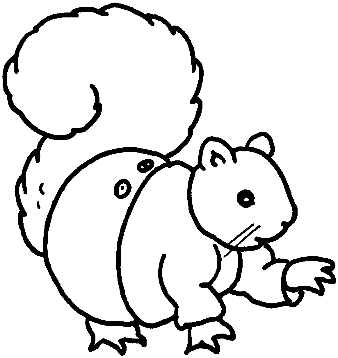 50 pictures of the most beautiful squirrels for children 14 - 50+ best coloring pictures of squirrels for children to practice coloring