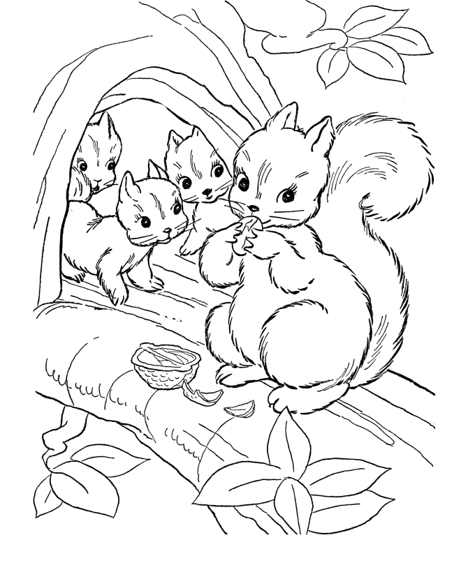 50 pictures of the most beautiful squirrels for children to tap to 16 - 50+ best coloring pictures of squirrels for children to practice coloring
