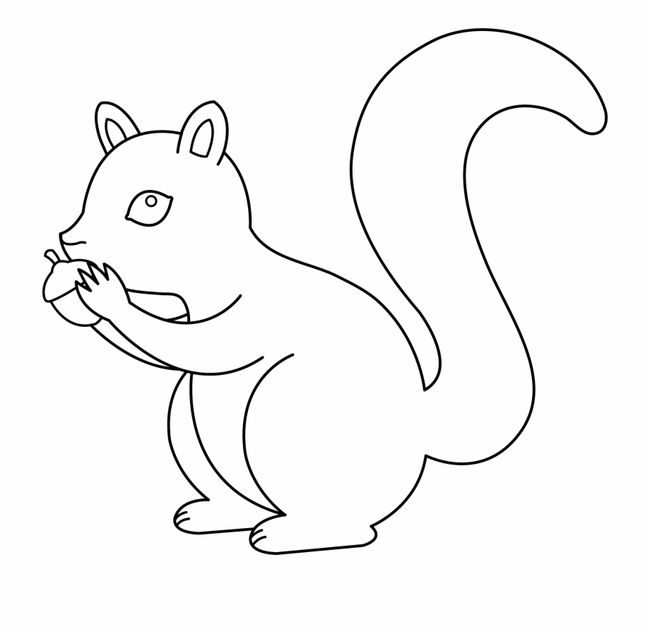 50 pictures of the most beautiful squirrels for children to tap to 18 - 50+ best coloring pictures of squirrels for children to practice coloring