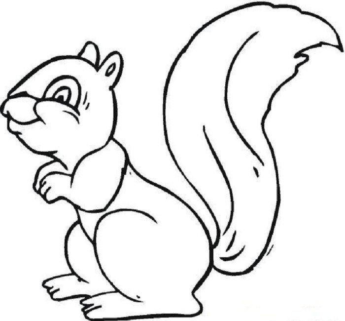 50 pictures of the most beautiful squirrel for children to tap to 26 - 50+ the most beautiful squirrel coloring pictures for children to practice