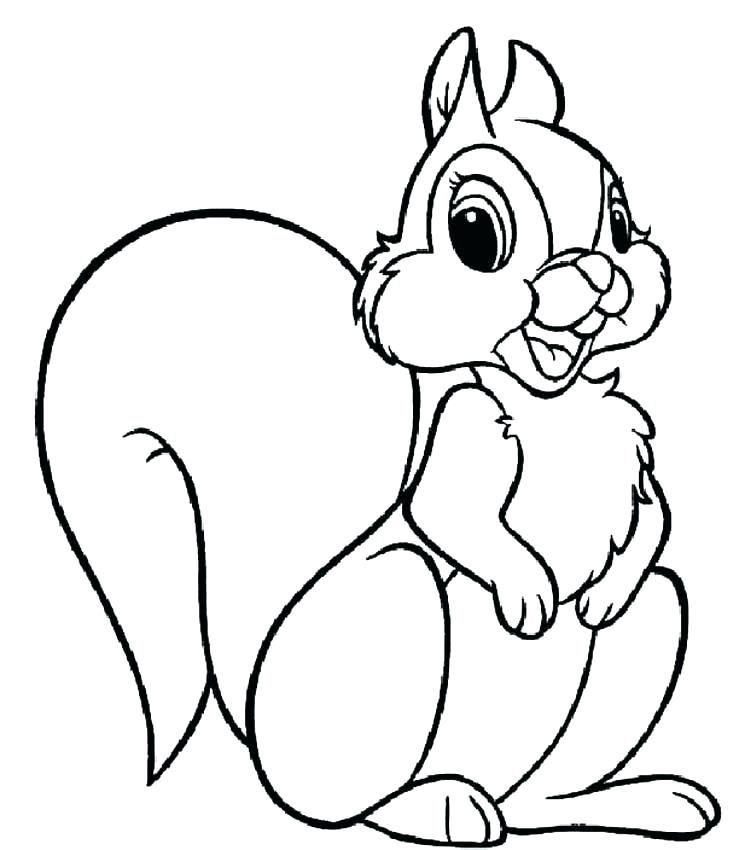 50 pictures of the most beautiful squirrels for children to tap to 4 - 50+ best coloring pictures of squirrels for children to practice coloring
