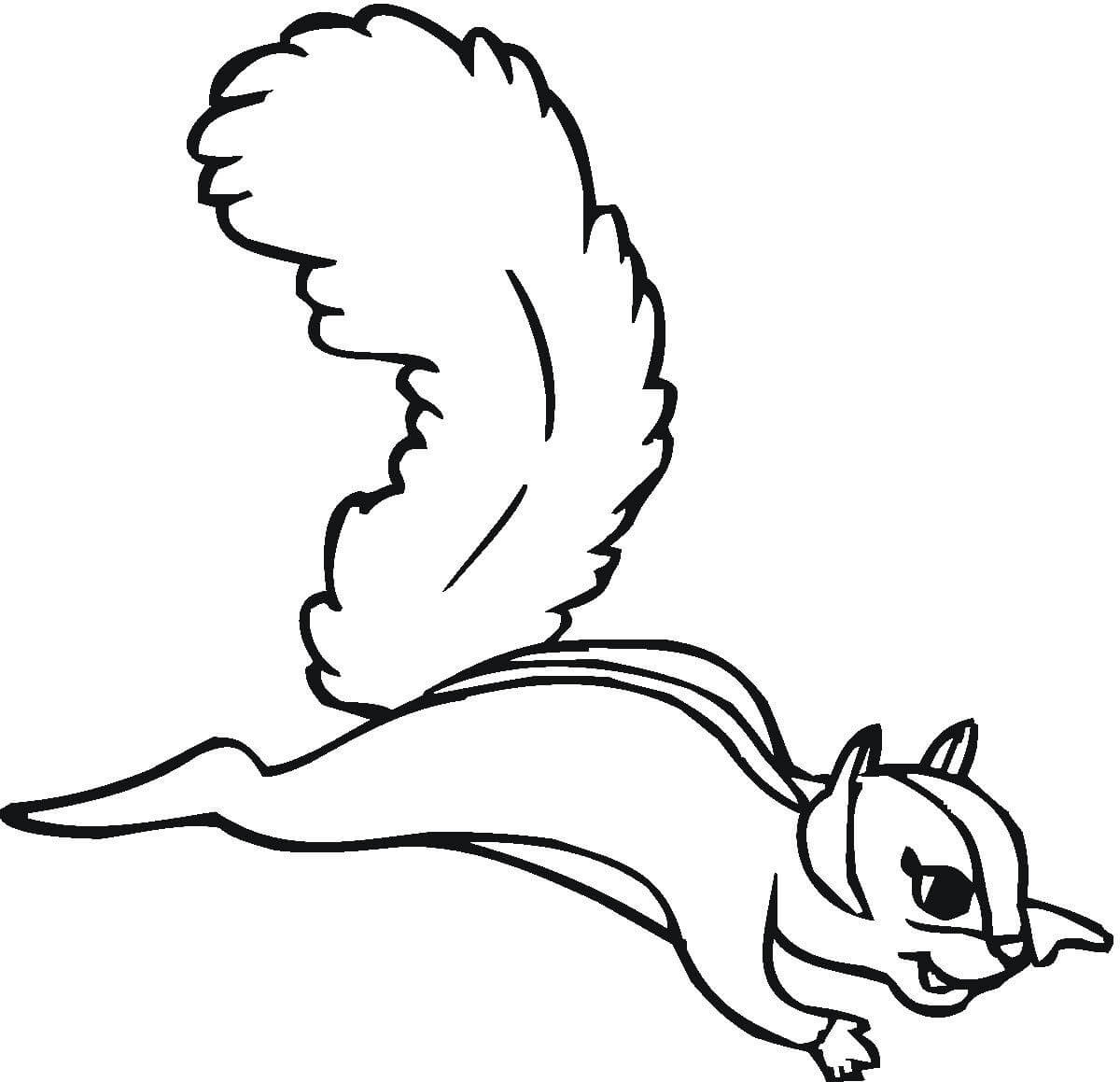 50 pictures of the most beautiful squirrels for children to tap to 7 - 50+ best coloring pictures of squirrels for children to practice coloring