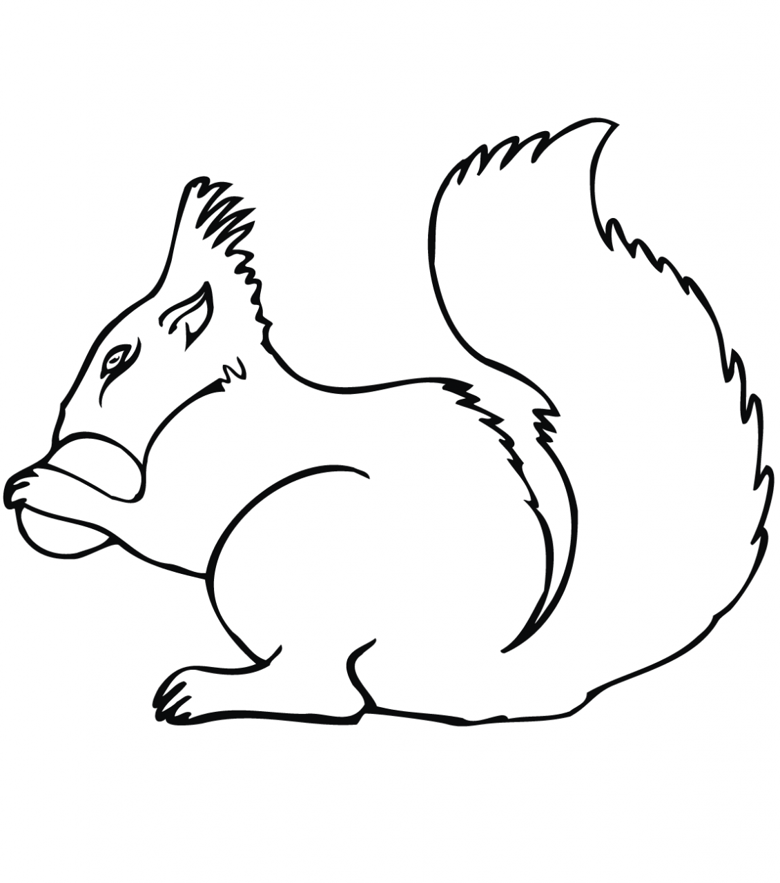 50 pictures of the most beautiful squirrels for children to tap to - 50+ best coloring pictures of squirrels for children to practice coloring