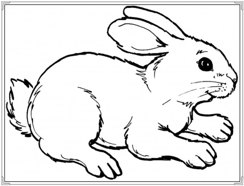 50 tranh tô màu con thỏ đẹp tập 1 - 50+ tranh tô màu con thỏ đẹp