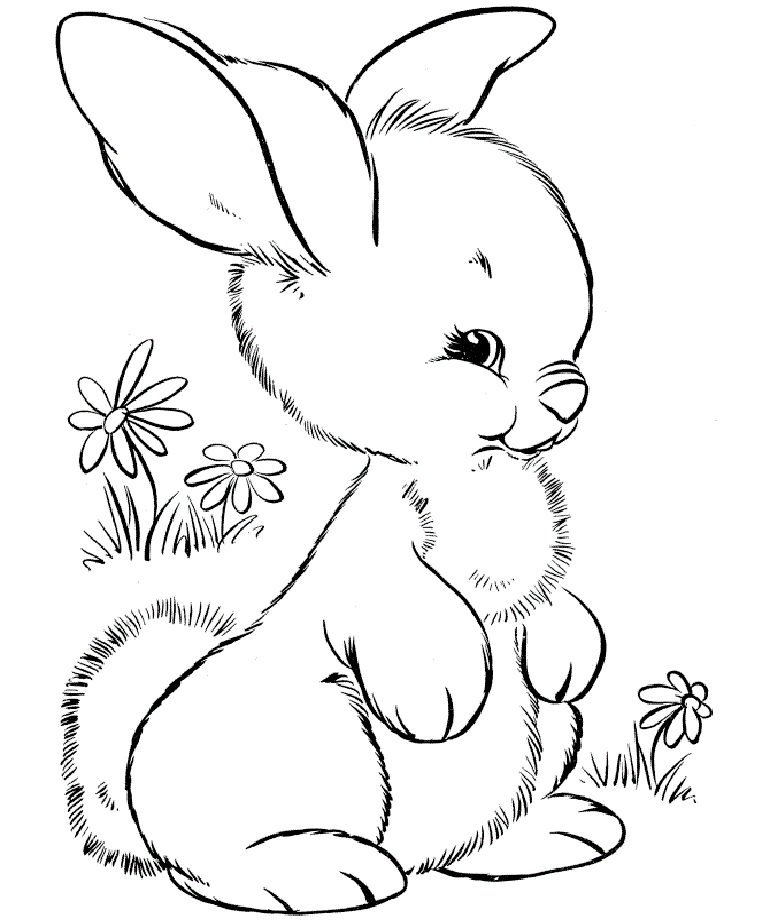 50 tranh to mau con thỏ xinh 8 - 50+ tranh tô màu con thỏ cực đẹp