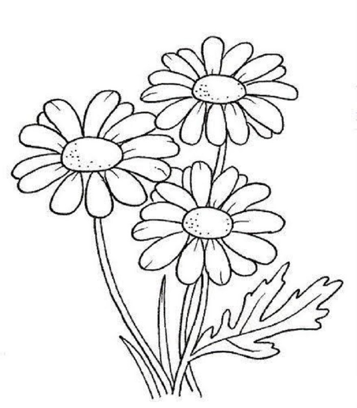 Chia sẻ với hơn 53 về hoa hướng dương tô màu  cdgdbentreeduvn