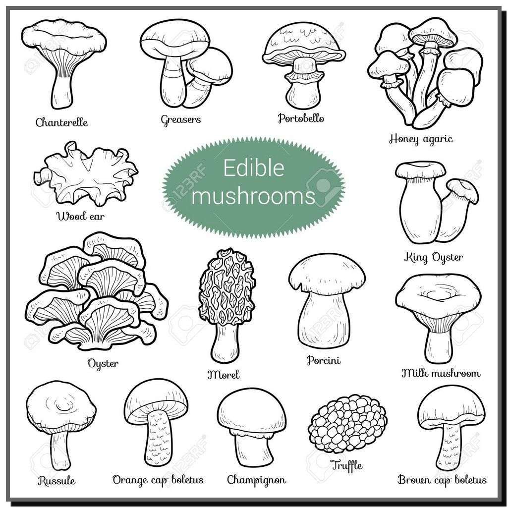 big picture to be hot and spicy for children to be 4 - Collection of colorful mushroom coloring pictures for kids