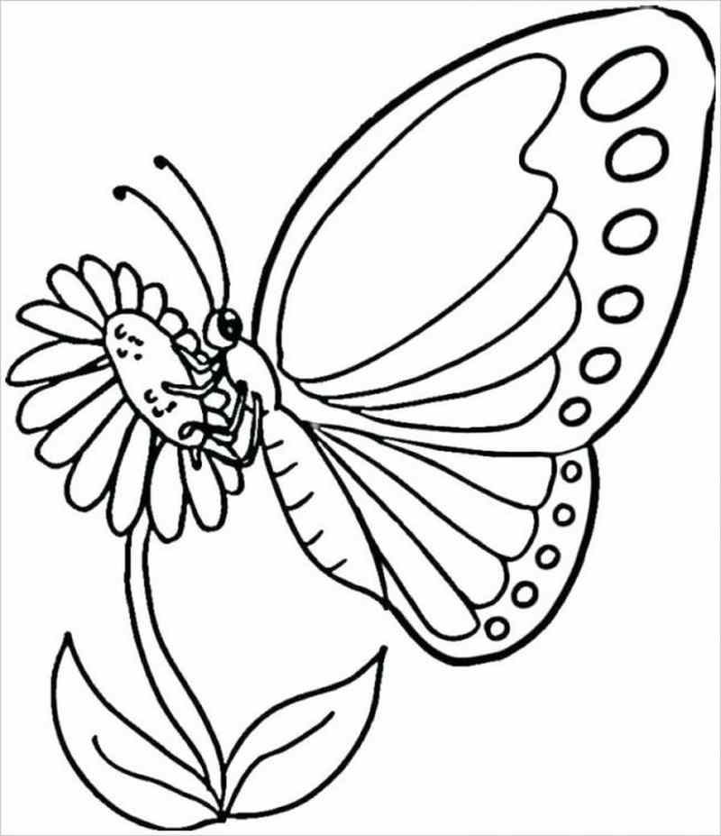 Bộ sưu tập tranh tô màu con bướm cho bé gái