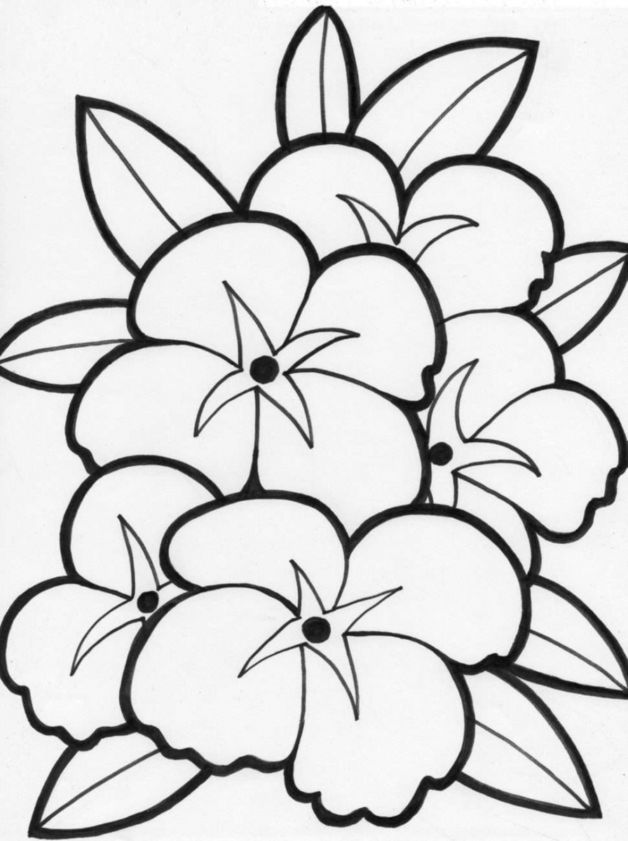 Tong hop big picture beautiful apricot blossom for baby 18 - Synthesis of the most beautiful apricot coloring pictures for baby