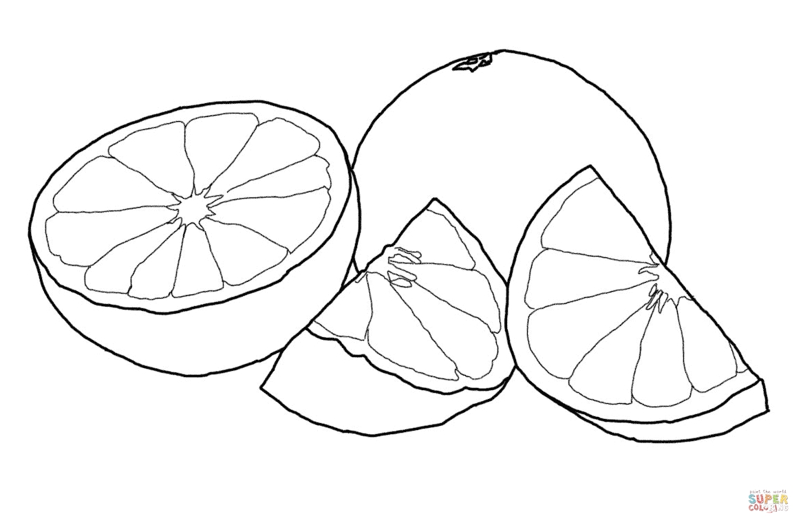 Tong hop big picture is the most beautiful for baby 3 - Synthesis of the most beautiful pomelo coloring pictures for kids