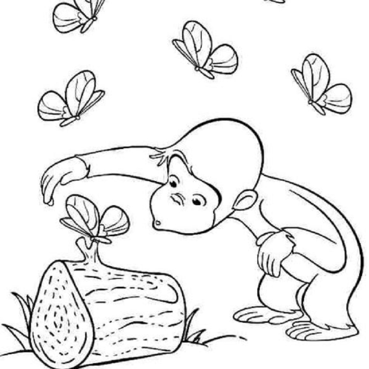Top tranh tô màu con khỉ khi lớn được bé yêu thích 26 - Top tranh tô màu con khỉ được bé yêu thích nhất