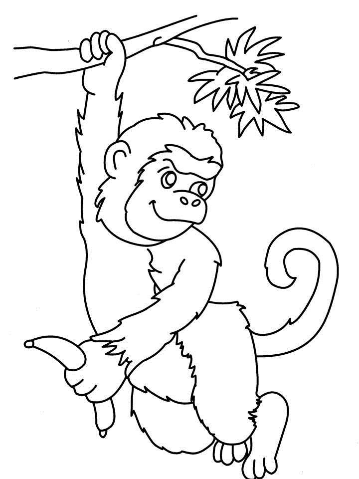 Top tranh tô màu con khỉ khi lớn được bé yêu thích nhất 5 - Top tranh tô màu con khỉ được bé yêu thích nhất